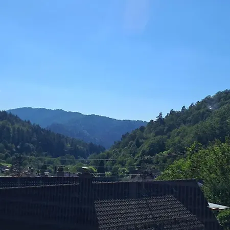 Apartment Casa Carina - Lautenbach