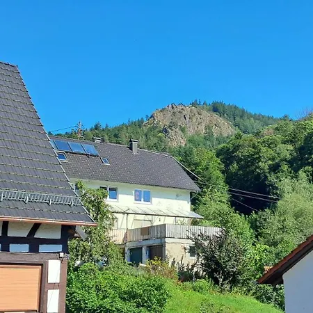 Apartment Casa Carina - Lautenbach *