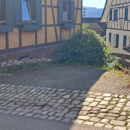 Apartment Casa Carina - Lautenbach