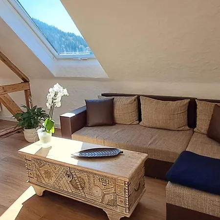 Apartment Casa Carina - Lautenbach