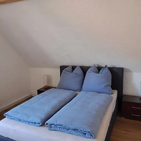 Casa Carina - Lautenbach Lejlighed *